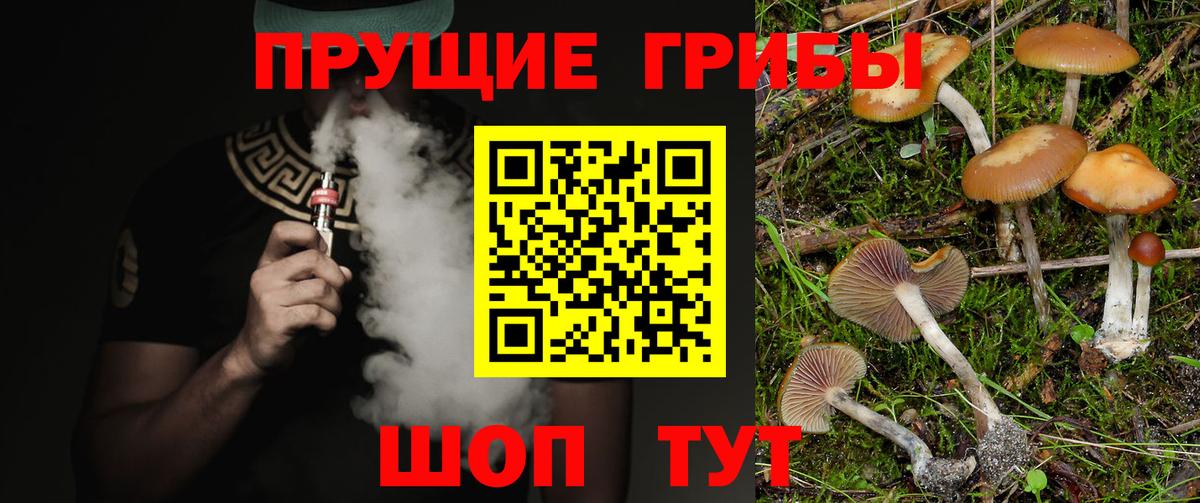 Галлюциногенные грибы Cubensis  Вход с VPN  Бахчисарай 